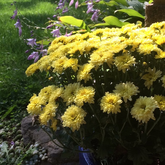 Meet your Posher, T - Picture 2 of 3